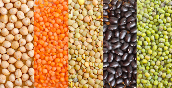 different kind of beans Stock photo © tycoon