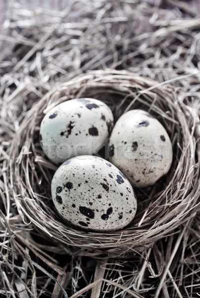 quail eggs Stock photo © tycoon