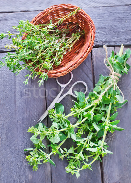 Oregano grădină plantă gătit mânca tufiş Imagine de stoc © tycoon