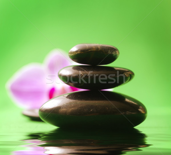 Orchid and black basalt for spa on green background Stock photo © tycoon