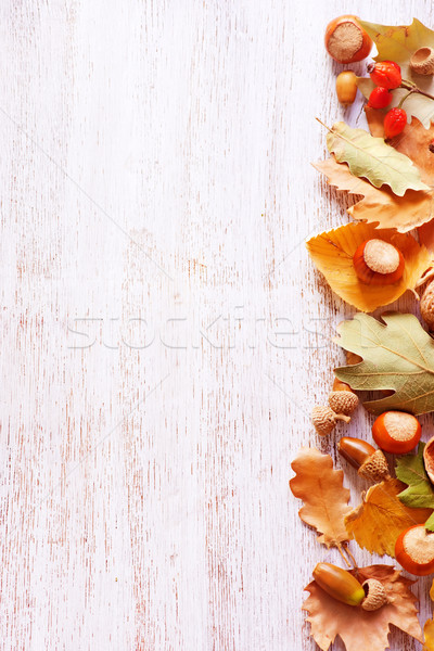 autumn background Stock photo © tycoon