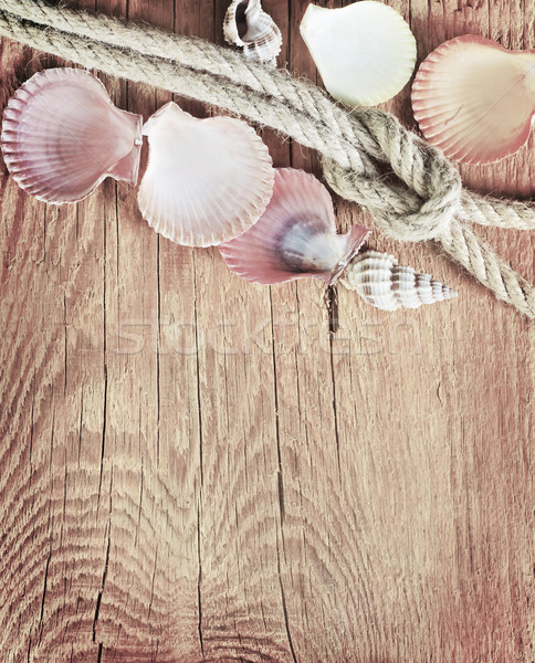 Stock photo: shells on wooden background