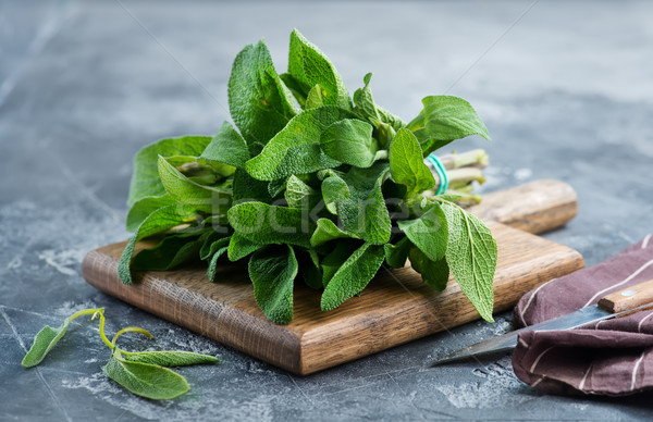 Foto stock: Fresco · sálvia · tabela · verde · medicina