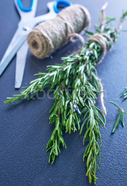 rosemary Stock photo © tycoon