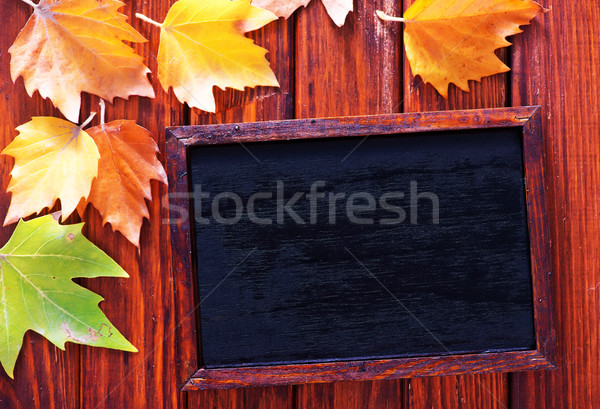 autumn background Stock photo © tycoon