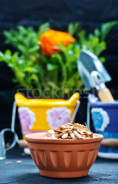 garden supplies Stock photo © tycoon