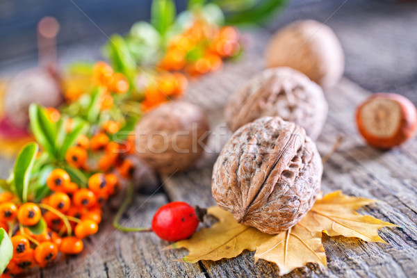Stock fotó: ősz · természet · egészség · háttér · tél · eszik