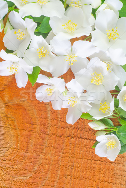 жасмин · цветы · древесины · фон · искусства · лет - Сток-фото © tycoon  (#6148706) | Stockfresh