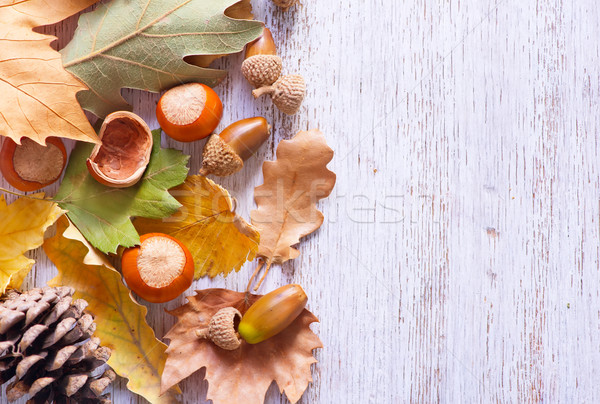 autumn background Stock photo © tycoon