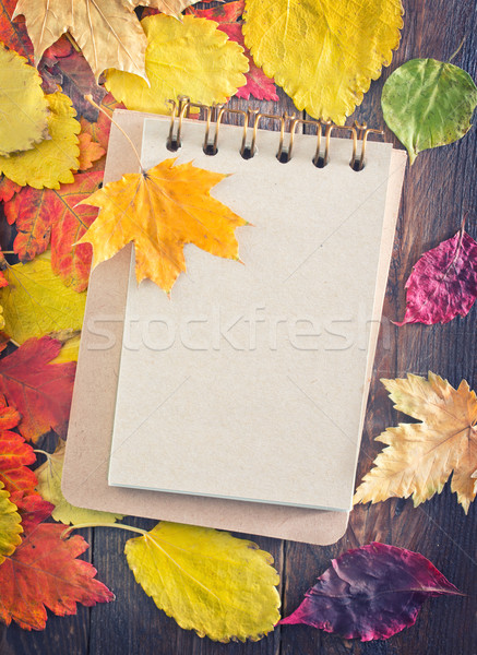 Jesienią notatnika drzewo drewna Zdjęcia stock © tycoon