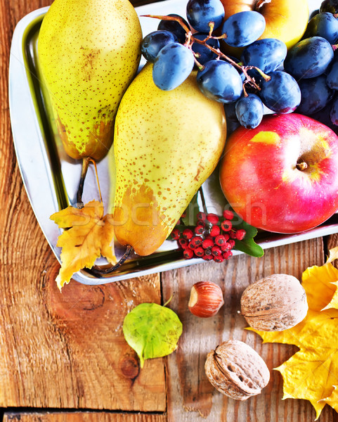 Jesienią zbiorów owoce warzyw wzrosła Zdjęcia stock © tycoon