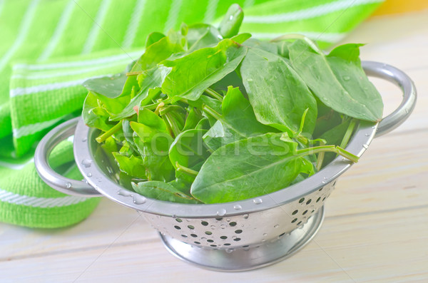 sorrel Stock photo © tycoon