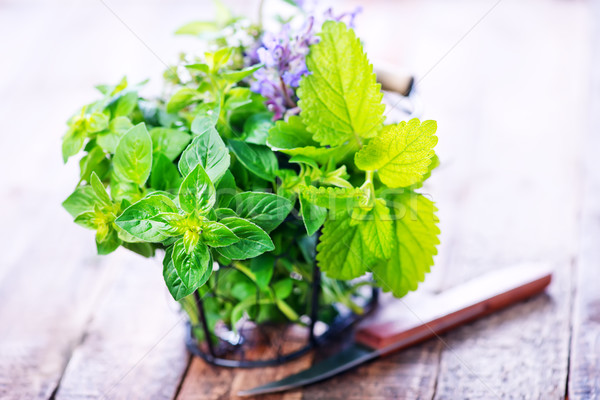 aroma herb Stock photo © tycoon