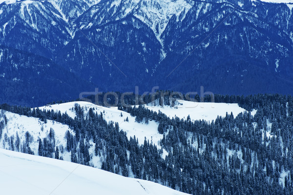Snow in mountains.  Stock photo © tycoon