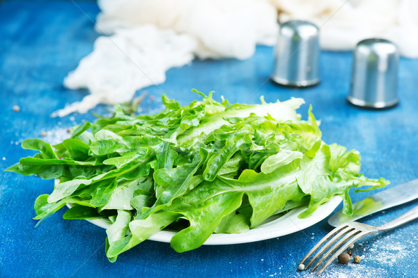 ruccola Stock photo © tycoon