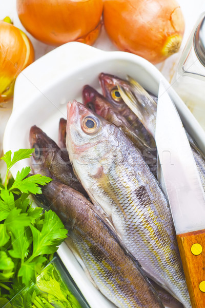 fresh fish Stock photo © tycoon