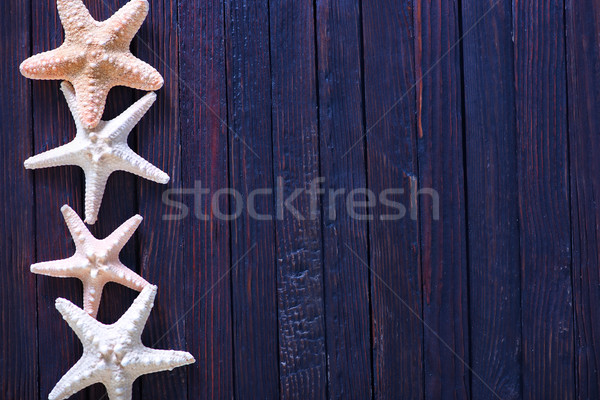 Rozgwiazda morza powłoki tabeli plaży Zdjęcia stock © tycoon