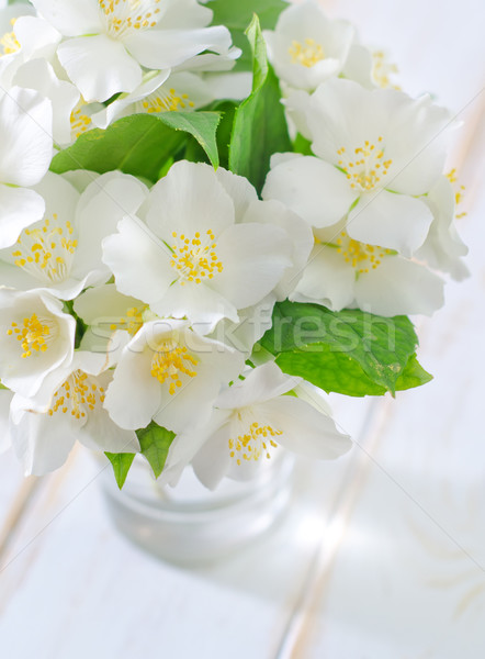 Foto stock: Jasmim · flor · folha · fundo · verde · planta