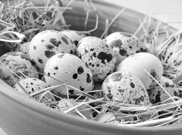 raw guail eggs Stock photo © tycoon