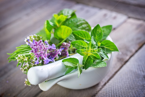 Stock photo: fresh herbal