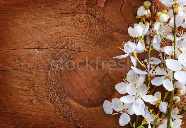 flowers on wooden background Stock photo © tycoon