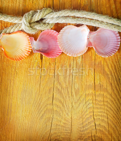 Stock photo: shells on wooden background