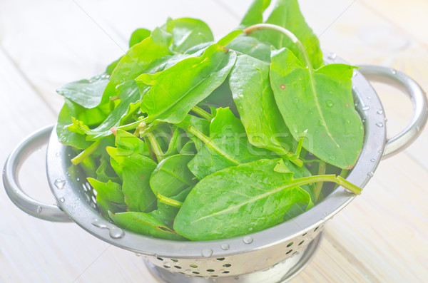 sorrel Stock photo © tycoon