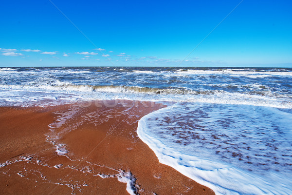 Black Sea, sea coast and sky in Crimea Stock photo © tycoon