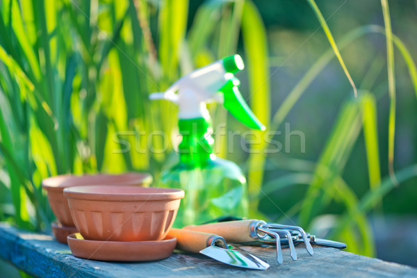 garden tools Stock photo © tycoon