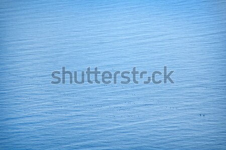sea Stock photo © tycoon
