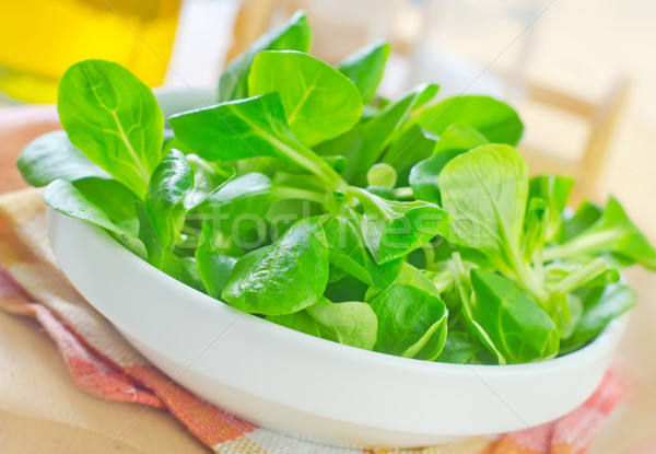 Salade résumé feuille domaine plaque usine [[stock_photo]] © tycoon