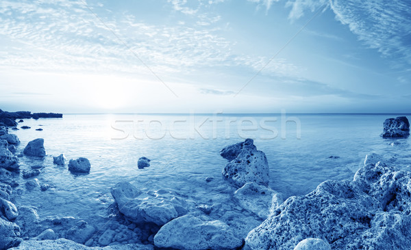 sea in Crimea Stock photo © tycoon