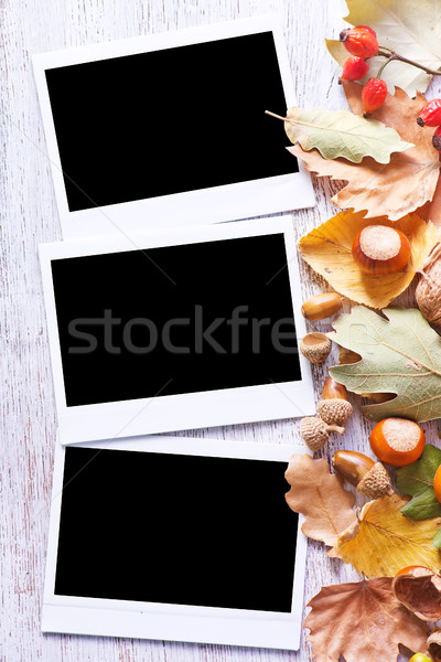 autumn background Stock photo © tycoon