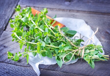 Aroma erbe erba verde impianto pot Foto d'archivio © tycoon