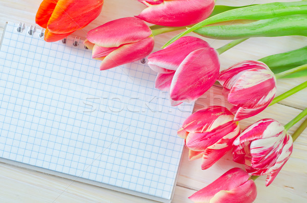 Tulipes note fleur nature pluie groupe [[stock_photo]] © tycoon