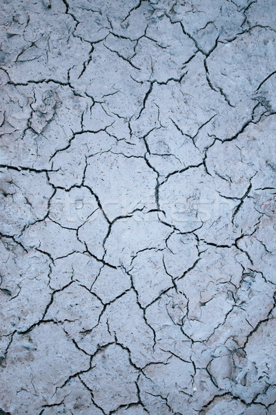 Stock photo: Surface of a grungy dry cracking parched earth