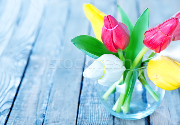 tulips Stock photo © tycoon