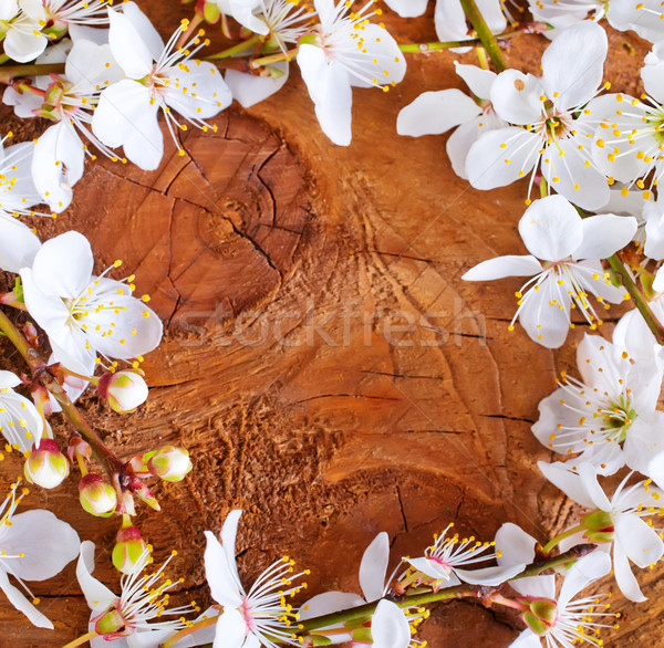 background Stock photo © tycoon