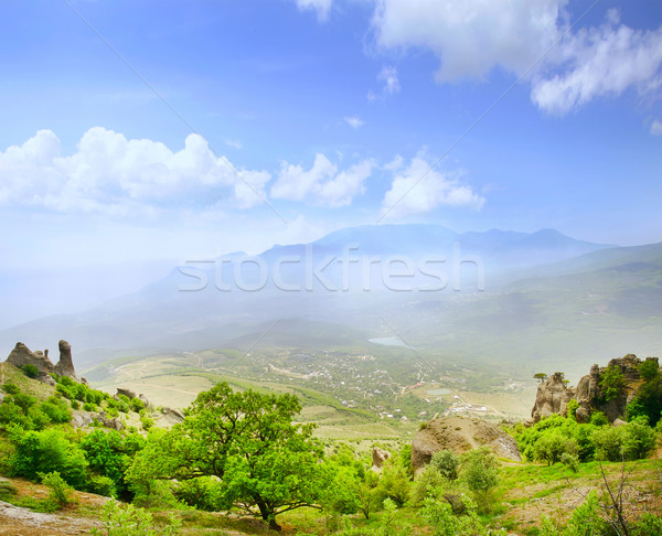 Berg voorjaar gras natuur zomer groene Stockfoto © tycoon