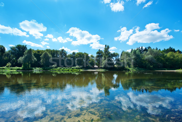 Сток-фото: озеро · Blue · Sky · дома · дерево · весны · лес