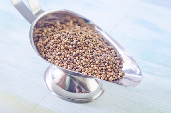 coriander Stock photo © tycoon