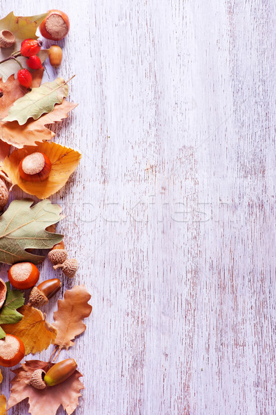 autumn background Stock photo © tycoon