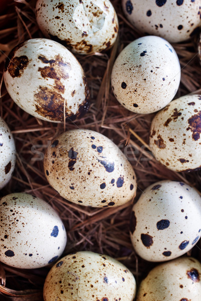 quail eggs Stock photo © tycoon