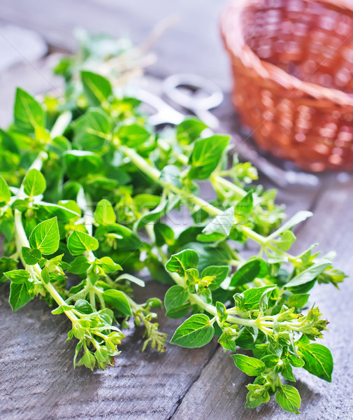 Stock photo: oregano