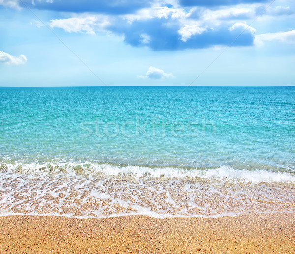 Nature in Crimea Stock photo © tycoon