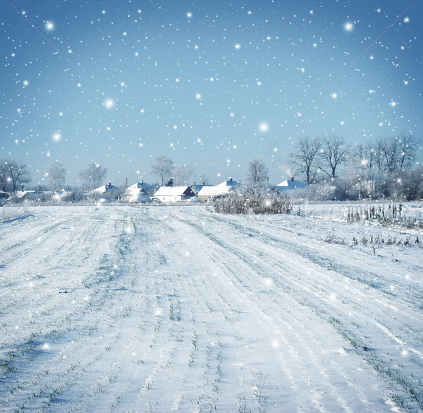 Zdjęcia stock: Zimą · krajobraz · śniegu · roślin · biały · kraju