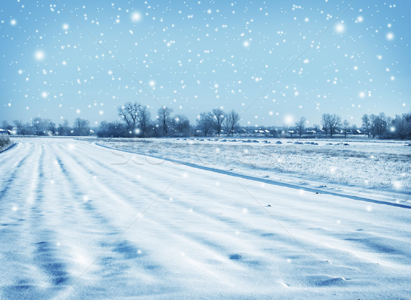 зима небе пейзаж Blue Sky стране газона Сток-фото © tycoon