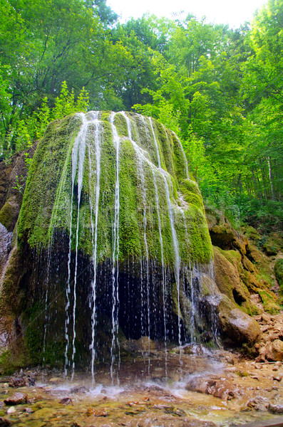 Wasserfall Wald Frühling Wasser Baum Hintergrund Stock foto © tycoon