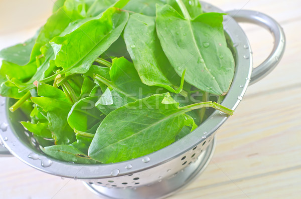 Stock photo: sorrel