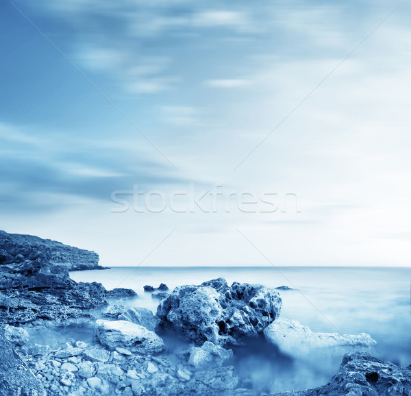 Sea in Crimea Stock photo © tycoon